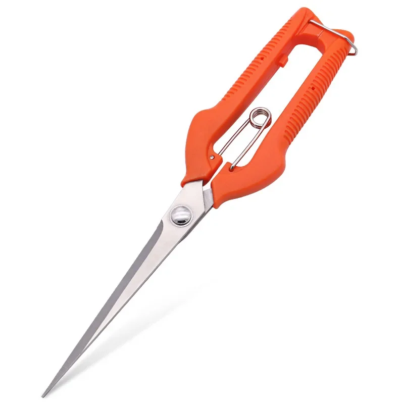 Grape Scissors Pruning Shears  - Furniture Joining Hardware review and price