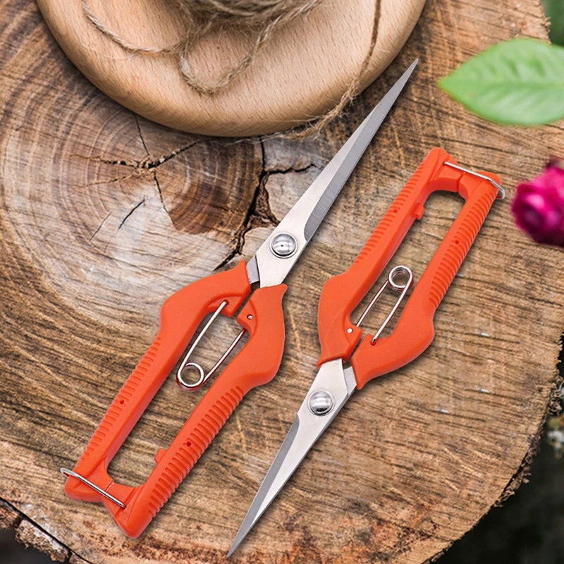 Grape Scissors Pruning Shears  - Furniture Joining Hardware review and price